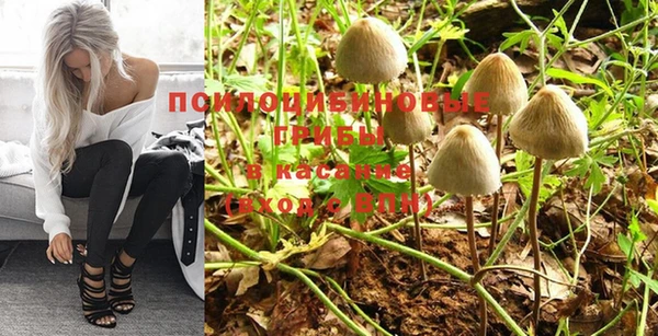 MDMA Premium VHQ Аркадак
