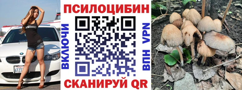 маркетплейс телеграм  Тайшет  Псилоцибиновые грибы Magic Shrooms 
